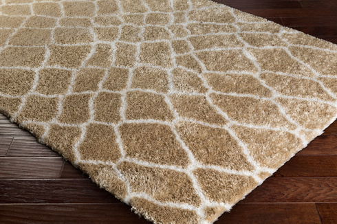 Llana Machine Woven Rug