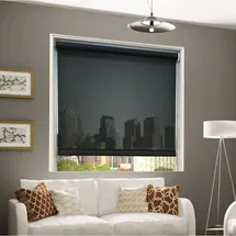 Online Designer Living Room Sheer Roller Shade