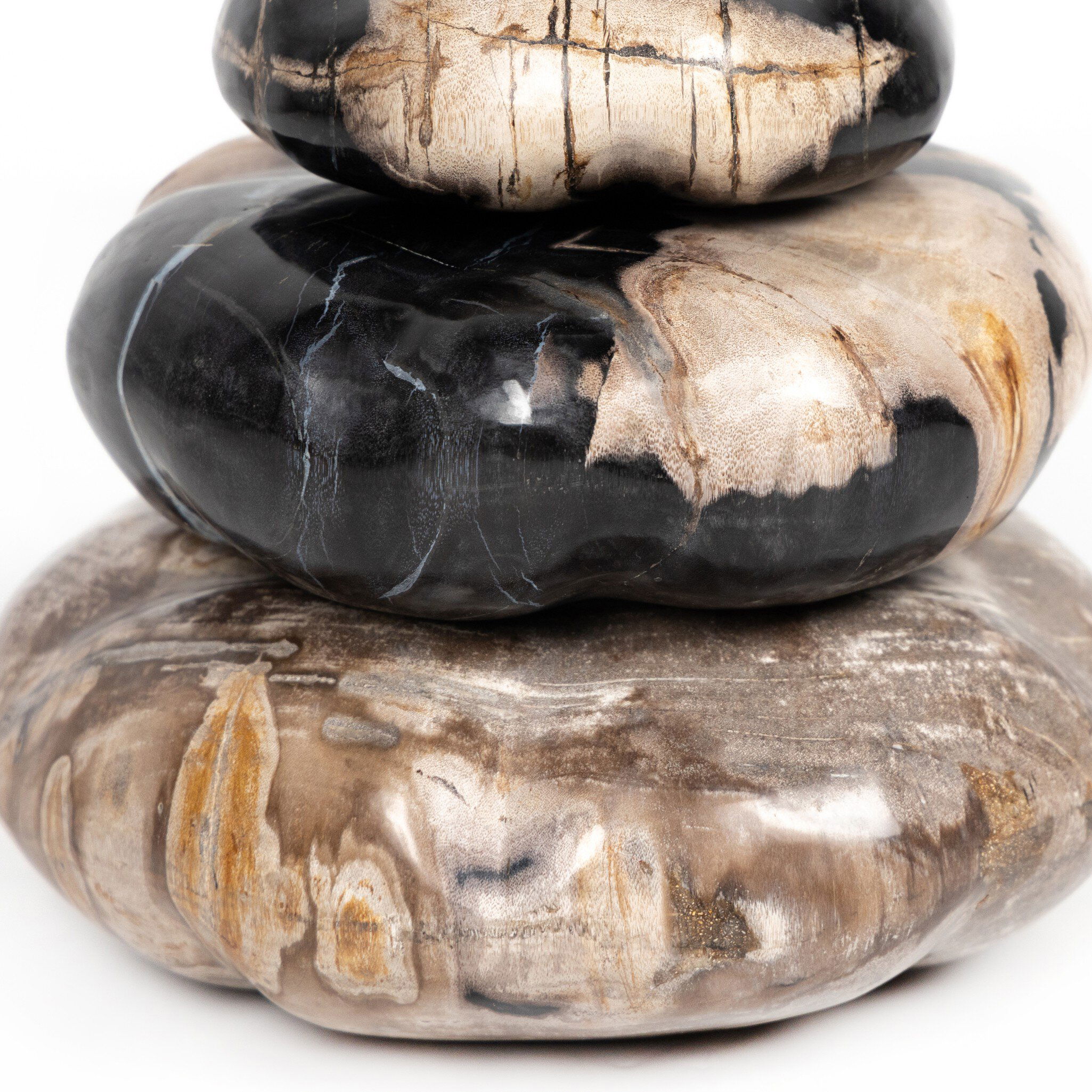 Petrified Wood Organic Sculpture, Set Of 3 large image 