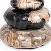 Petrified Wood Organic Sculpture, Set Of 3 thumbnail 12