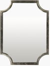 Joslyn Accent Mirror thumbnail 0