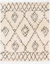 Berber Shag Machine Woven Rug, by Surya, 13'11.32" length x 10'0.08" width thumbnail