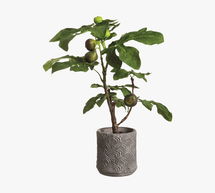 Online Designer Hallway/Entry Faux Fig Tree In Terracotta Planter, 25"