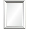 Hawkwell Wall Mirror, by Renwil, 40" height x 1.5" depth thumbnail 1