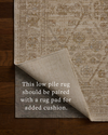 Loloi Elora Rug, 4' length x 5'7" width thumbnail 8