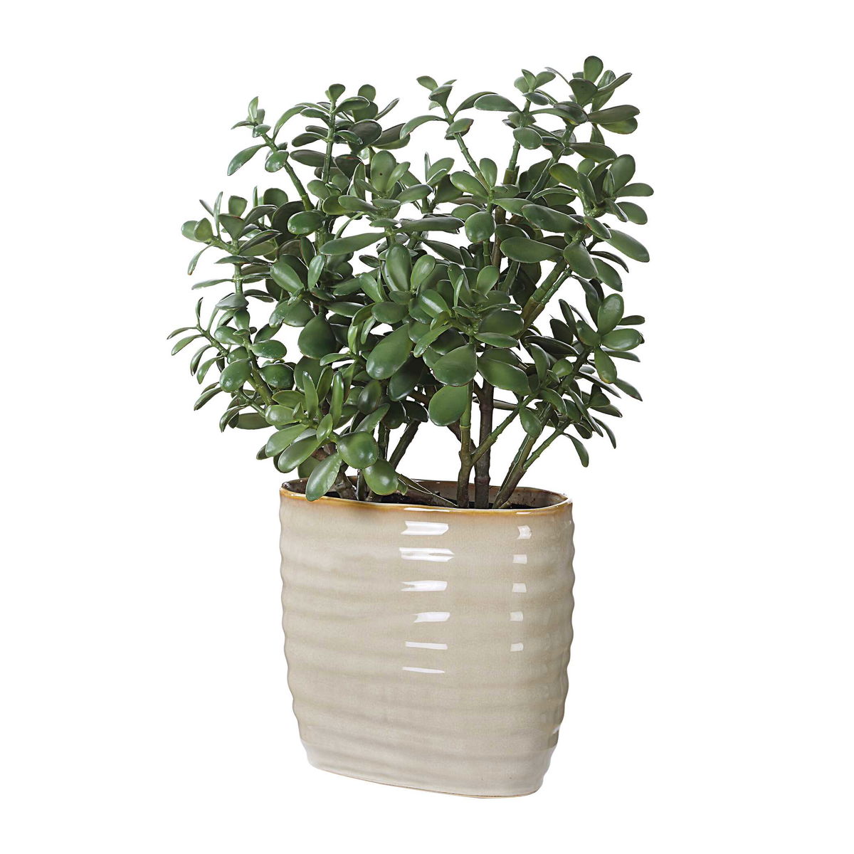 Crassula Jade Accent Plant, Artificial Plants & Flower by Uttermost, 18" width x 23.5" height x 13.75" depth View 3