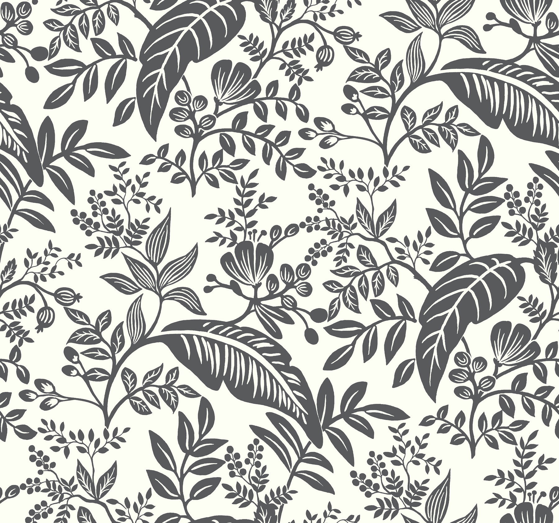Canopy Black & White Wallpaper Canopy Black & White Wallpaper large image