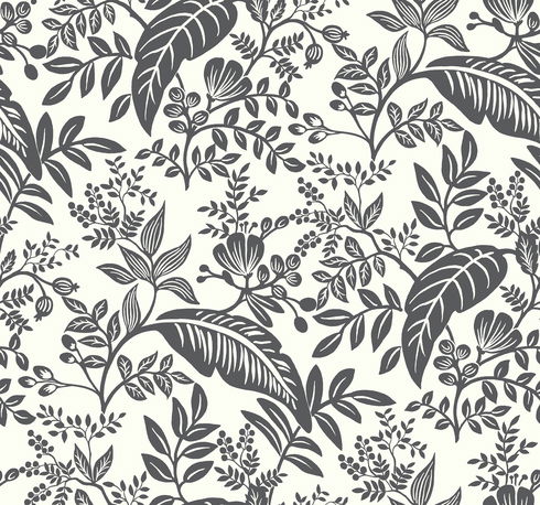 Canopy Black & White Wallpaper