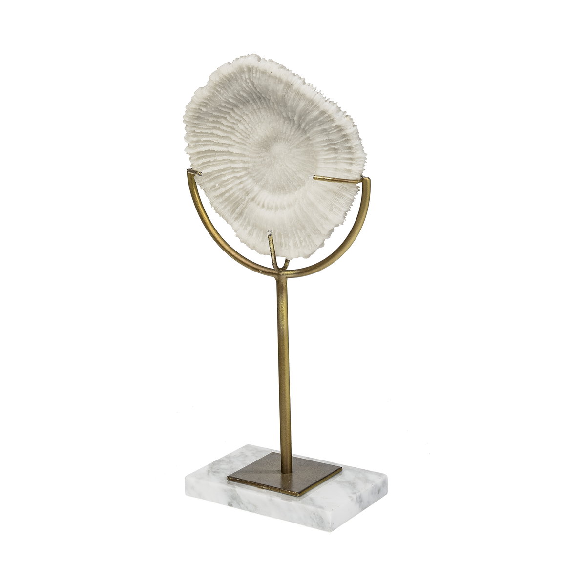 Sandy II (Medium) 6L x 3W White Coastal Sand Dollar Object, Decorative Object by Mercana, 6.1" length x 3.15" width x 12.4" height View 1