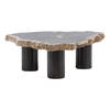 Darnell Coffee Table Natural Black Small, by Dovetail, 34" width x 12" height x 27.5" depth thumbnail 1