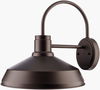 Guneet Wall Sconce thumbnail 0
