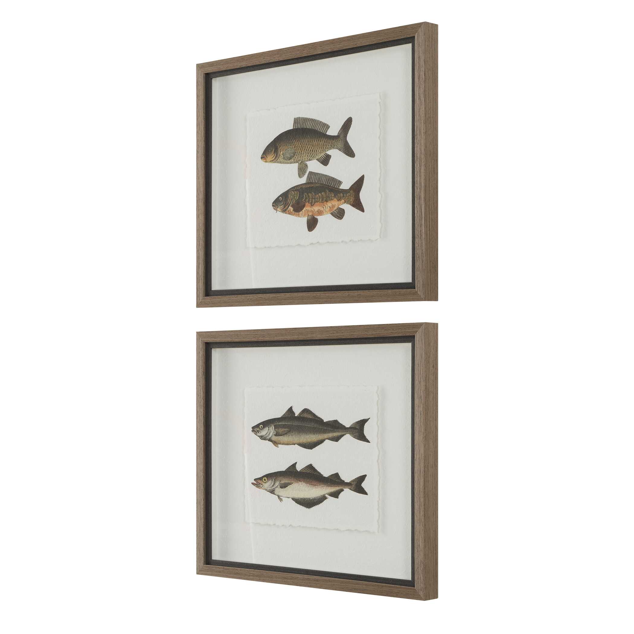 The Catch Framed Fish Prints Set/2 large image 