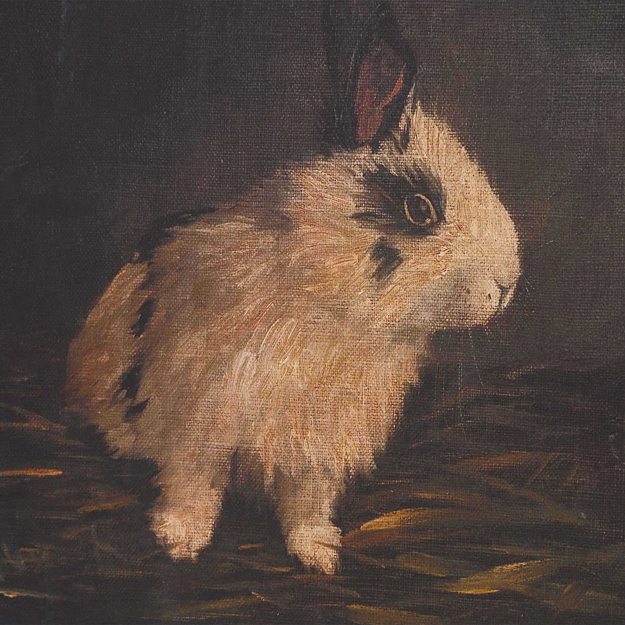 Resting Bunny Framed Prints Set/9 large image 