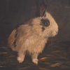 Resting Bunny Framed Prints Set/9 thumbnail 5