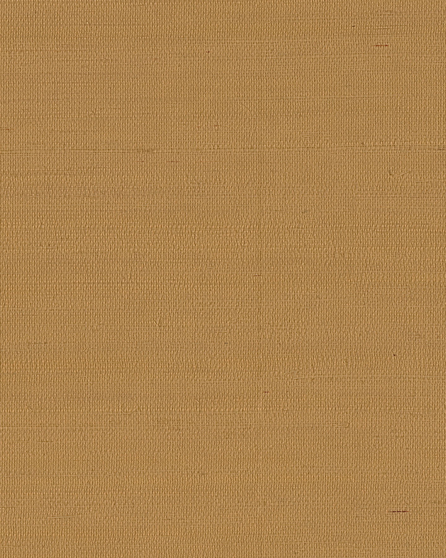 Maguey Sisal Dijon Wallpaper large image 