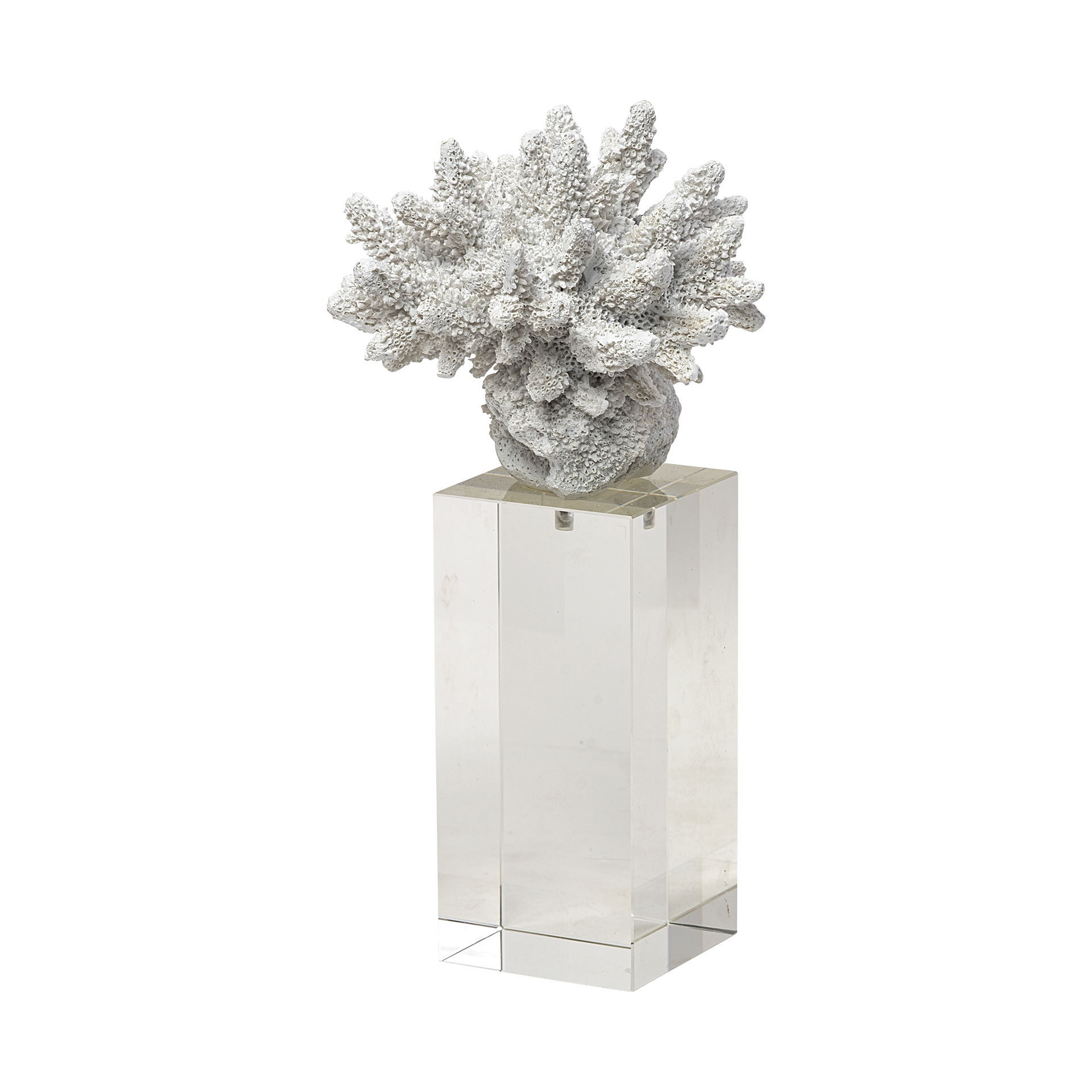 Isla (Large) 5L x 5W White Replica Resin Coral On Clear White Glass, Decorative Object by Mercana, 4.72" length x 4.72" width x 10.43" height View 1