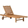 Andy Outdoor Chaise, Accent Chair by Dovetail, 79" width x 13" height x 24.5" depth thumbnail 1