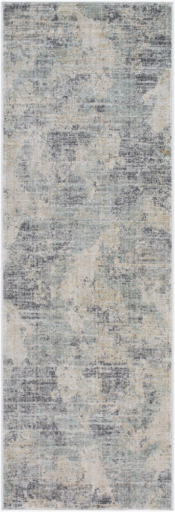 Rojin Machine Woven Rug, by Surya, 7'3" length x 2'6" width
