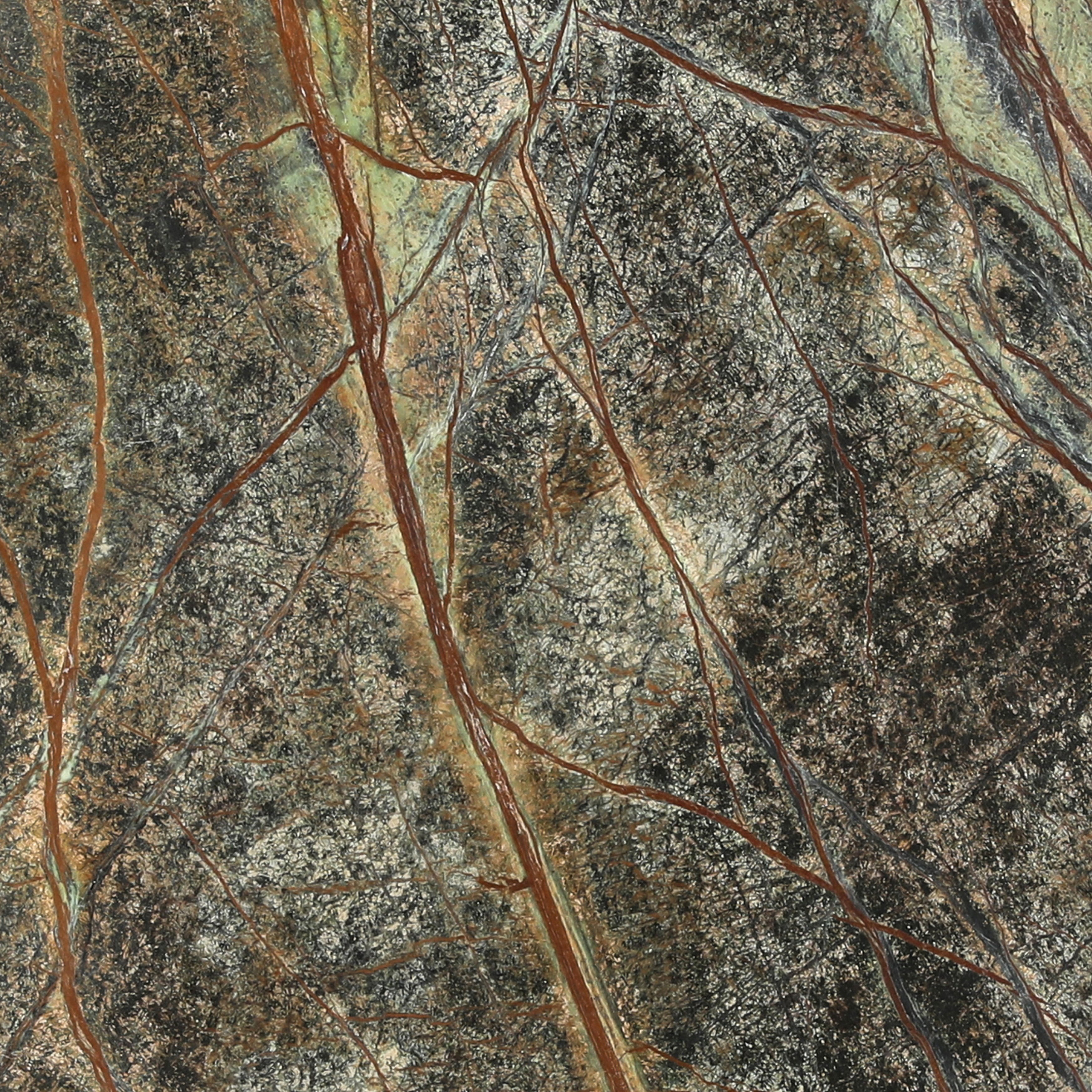 Daryna Side Table, Side & End Table by Dovetail, 16" width x 22" height x 16" depth View 3