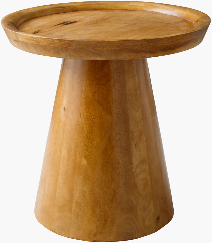 Amira End Table, Side & End Table by Surya, 20" width x 20" height