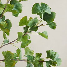 Online Designer Living Room Faux Gingko Branch, Green, 48"