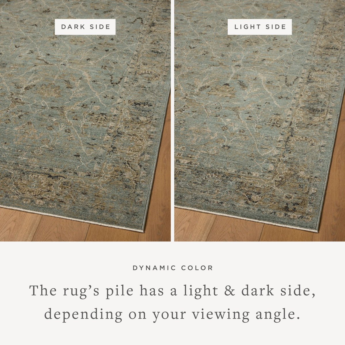 Loloi Briar Rug, 3'7" length x 7'9" width View 3