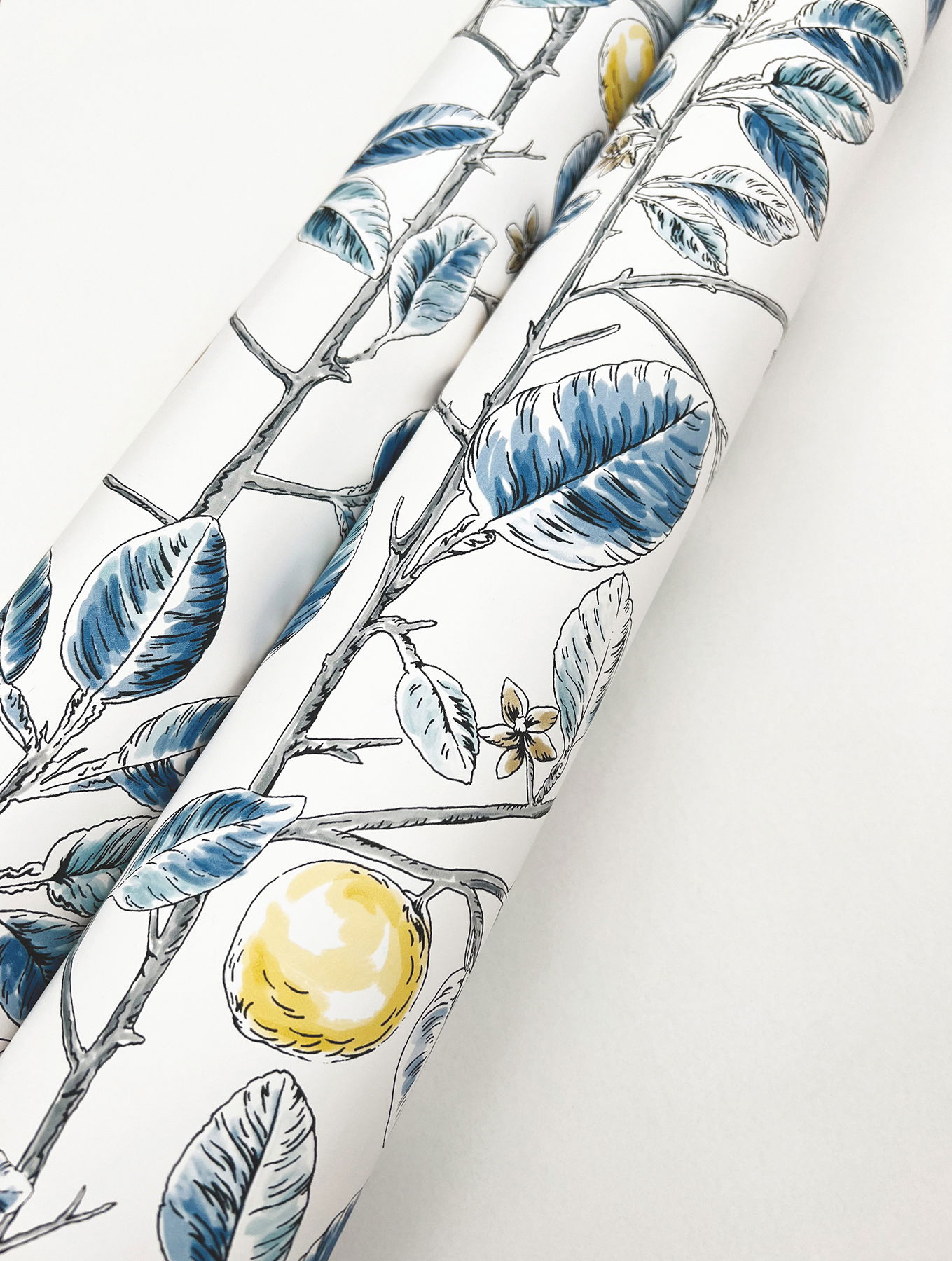 Limoncello Toile Blue Wallpaper large image 