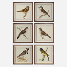 Online Designer Living Room Spring Soldiers Bird Prints, S/6