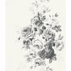 Tea Rose Black & White Wallpaper, by York Wall, 33' length x 1'8.5" width x 0.02" depth thumbnail