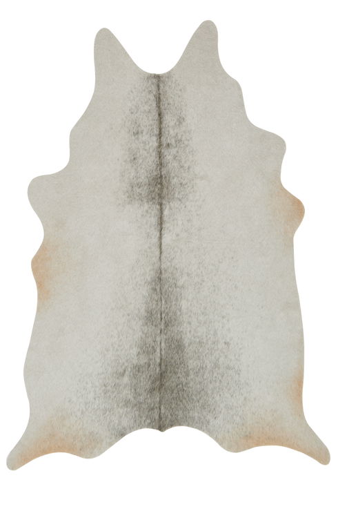 Loloi II Grand Canyon Rug