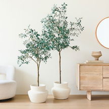Online Designer Bedroom Potted 60" Olive Tree & Form Studies Medium Floor Planter