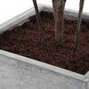 Sonora Olive Tree In Planter, Decorative by Uttermost, 33" width x 89.25" height x 31.5" depth thumbnail 7