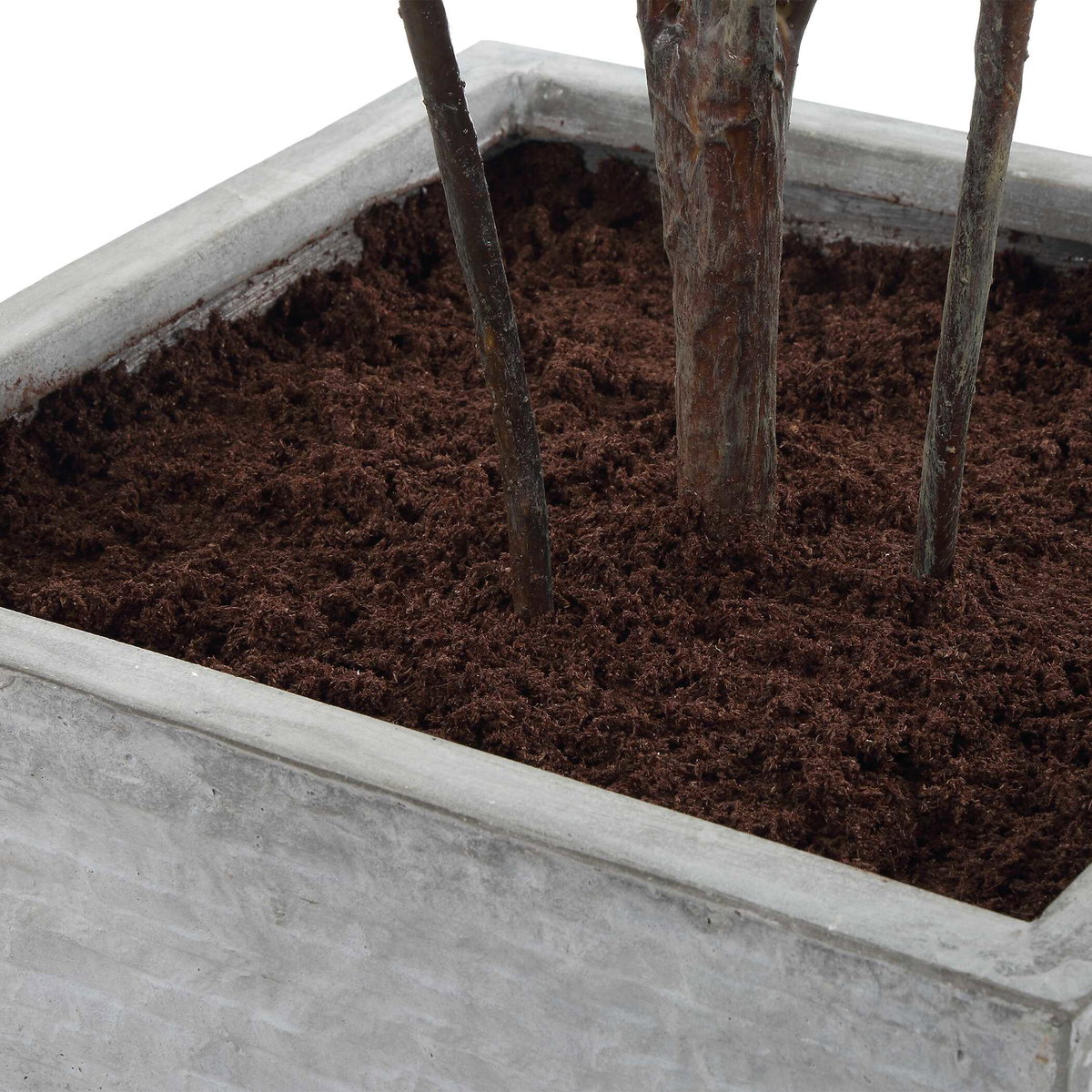 Sonora Olive Tree In Planter, by Uttermost, 2'9" width x 7'5.25" height x 2'7.5" depth View 7