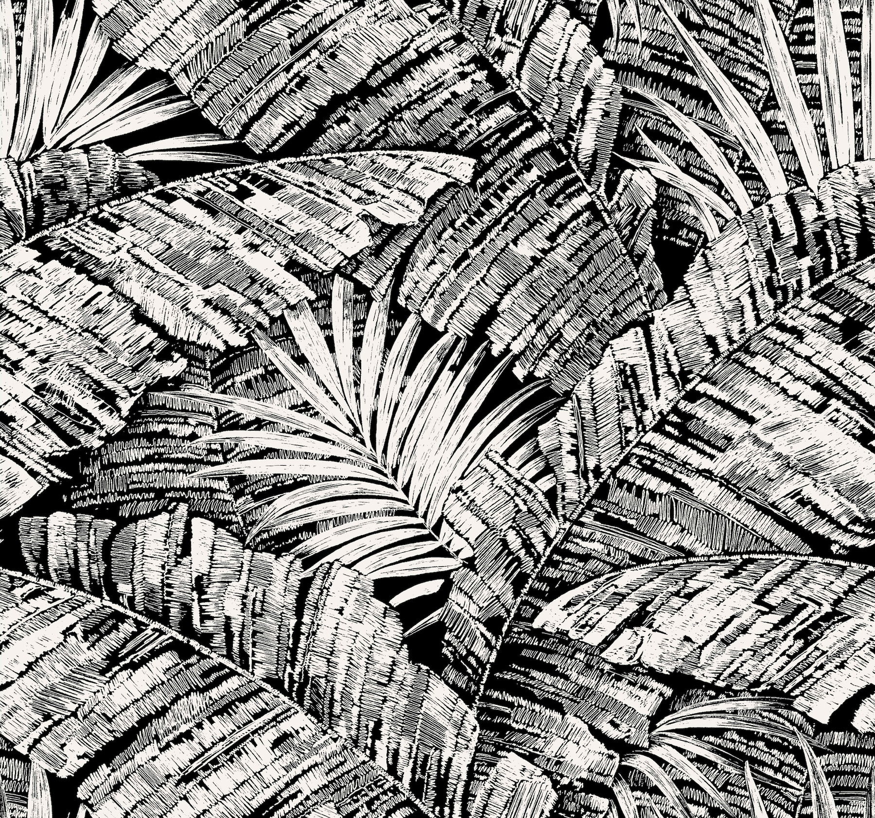 Palm Cove Toile White & Black Wallpaper large image 