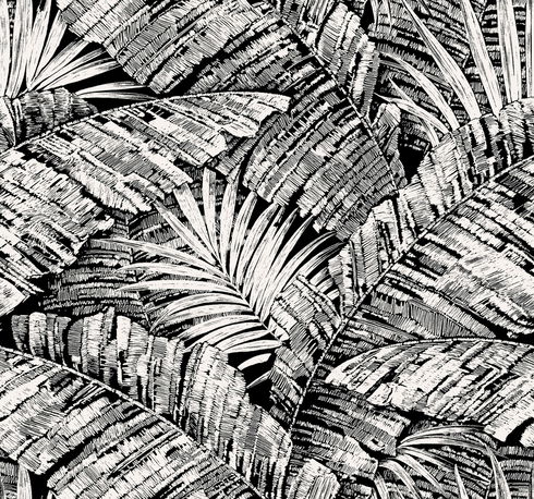 Palm Cove Toile White & Black Wallpaper