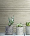 Skinnylap Grey & Brown Wallpaper 1 Skinnylap Grey & Brown Wallpaper thumbnail 1