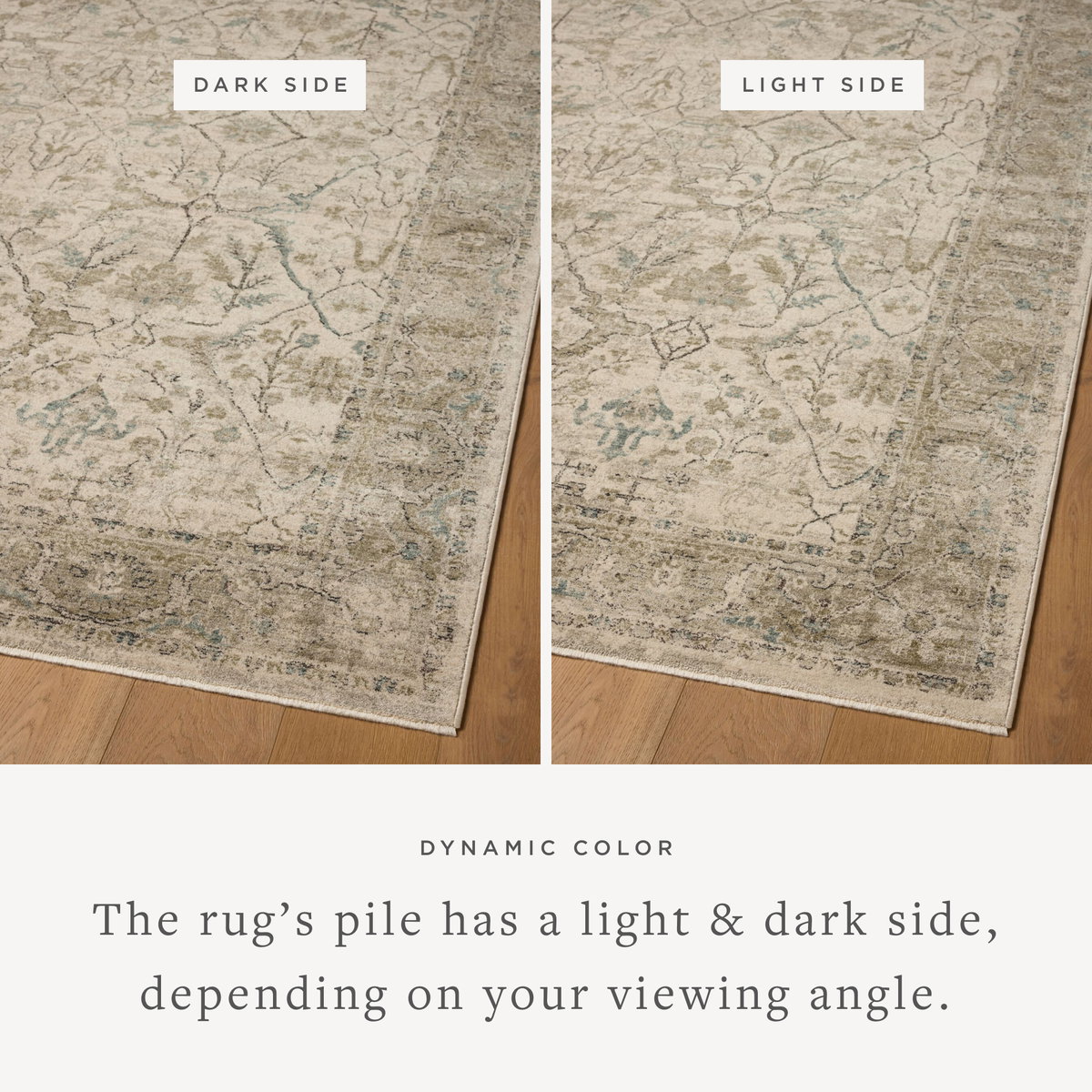 Loloi Briar Rug, 3'7" length x 7'9" width View 3