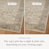 Loloi Briar Rug, 3'7" length x 7'9" width thumbnail 3