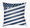 Americana III Accent Pillow thumbnail 0