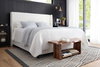 Loloi Kenzie Rug, 2'3" length x 3'9" width thumbnail 4
