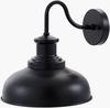 Kazuto Wall Sconce thumbnail 0