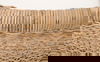 Seaside Dining Chair, Set of 2 thumbnail 6