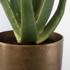 Arabia Aloe Planter, Artificial Plants & Flower by Uttermost, 19.7" width x 37" height x 19.7" depth thumbnail 4