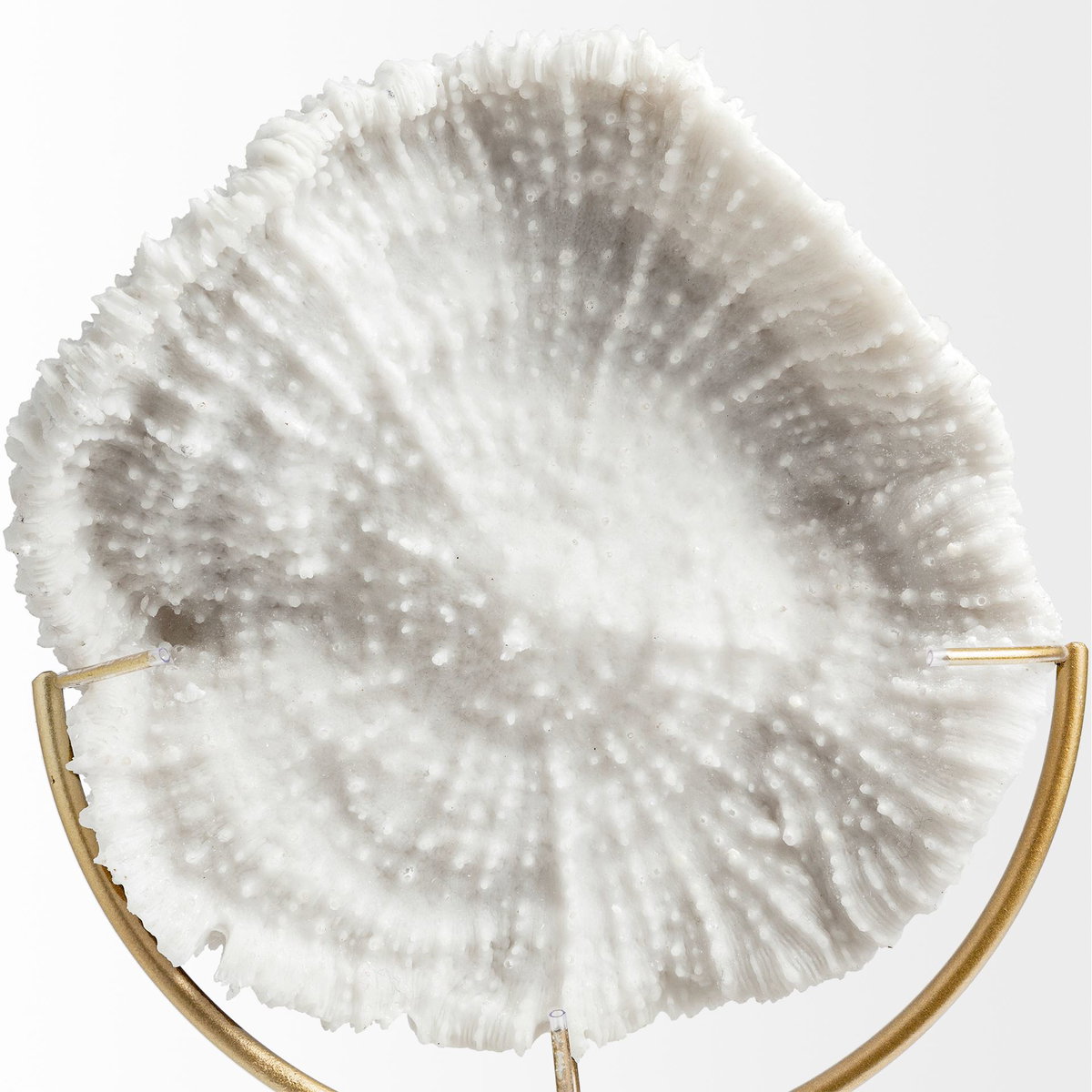 Sandy I (Small) 6L x 3W White Coastal Sand Dollar Object, Decorative Object by Mercana, 5.51" length x 3.15" width x 11.22" height View 5