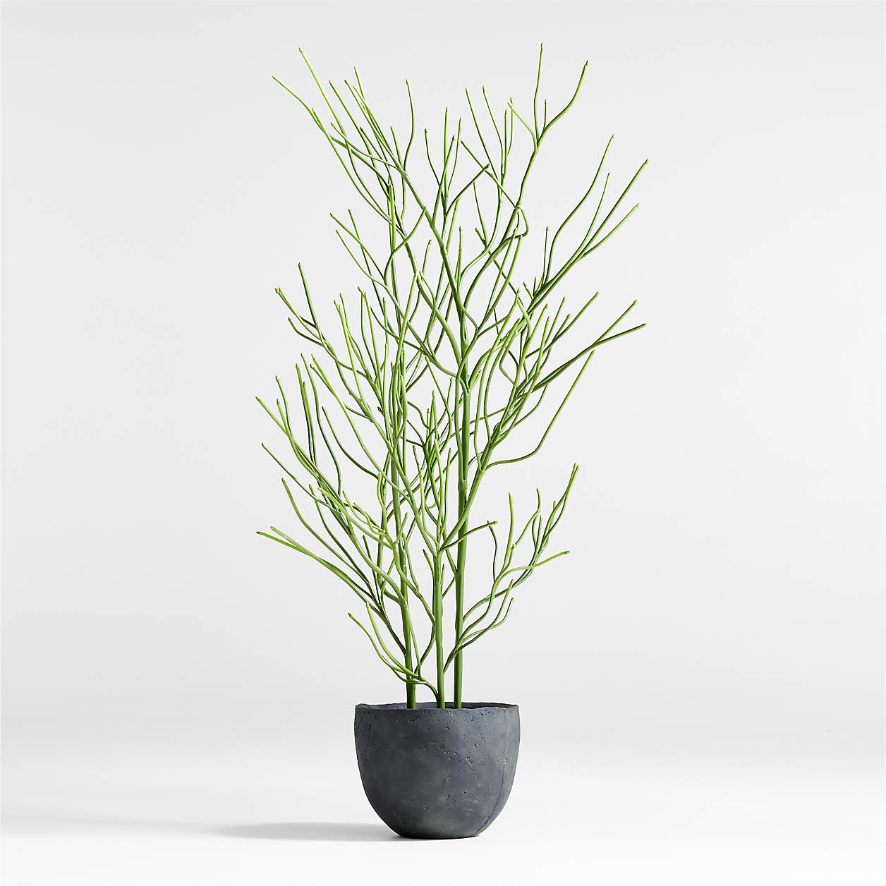 Online Designer Other Potted Faux Pencil Cactus 5'