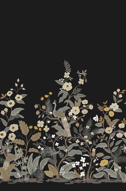 Peacock Black Wall Mural