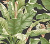 Banana Leaf Black & Green Peel & Stick Wallpaper thumbnail 1