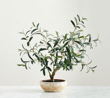 Online Designer Living Room Faux Potted Olive House Plant