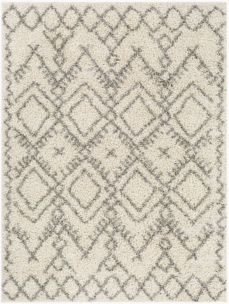 Taza Shag Machine Woven Rug large image 