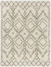 Taza Shag Machine Woven Rug thumbnail 0